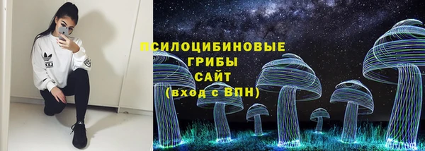 трава Балахна