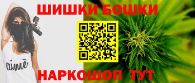 спиды Новодвинск