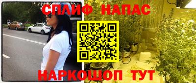 спиды Новодвинск