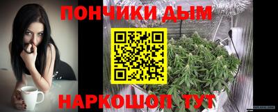 спиды Новодвинск